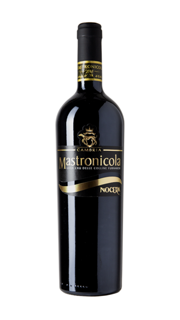 Mastronicola