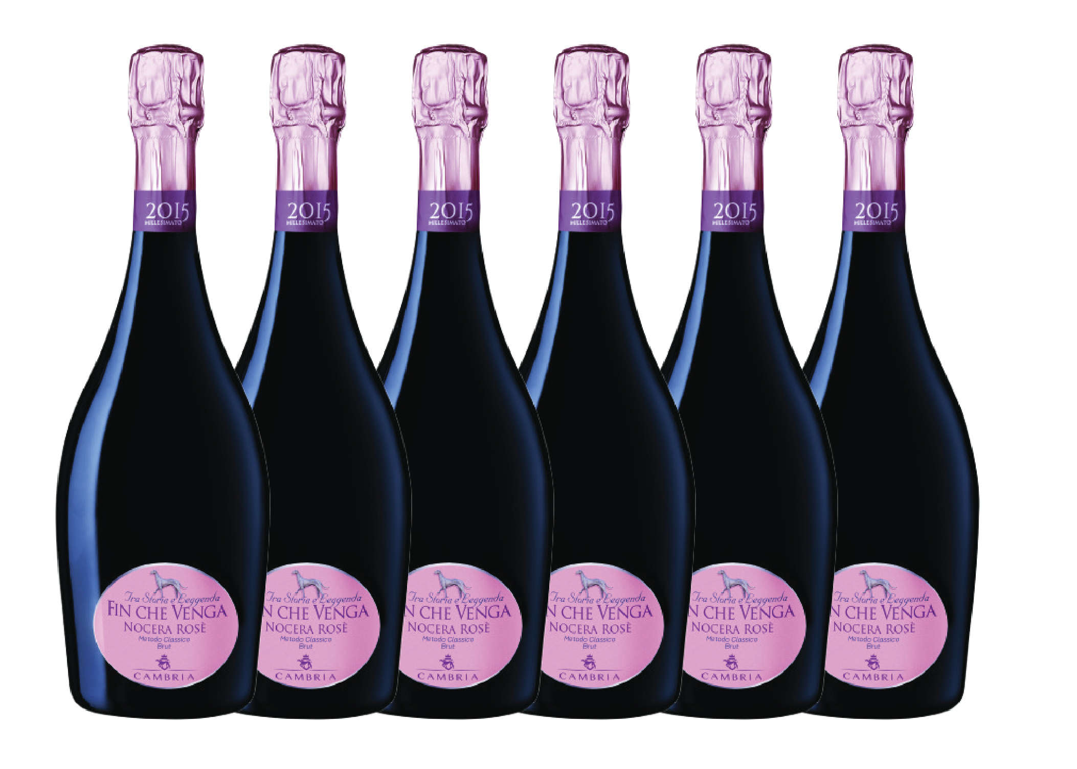 Fin Che Venga Brut Rosè Spumante | Confezione 6 bottiglie