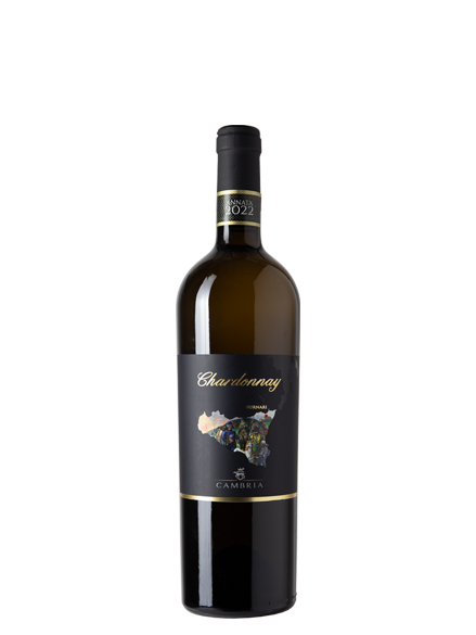 Chardonnay – IGP Terre Siciliane