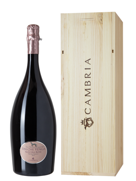 Fin Che Venga Brut Nocera Rosè | IGP Terre Siciliane Magnum