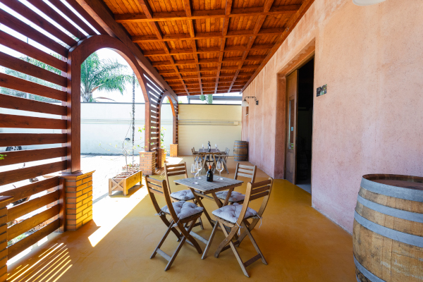 Degustazione in cantina